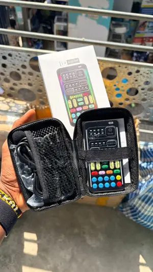 Portable Voice Changer With Multifunctional Effect