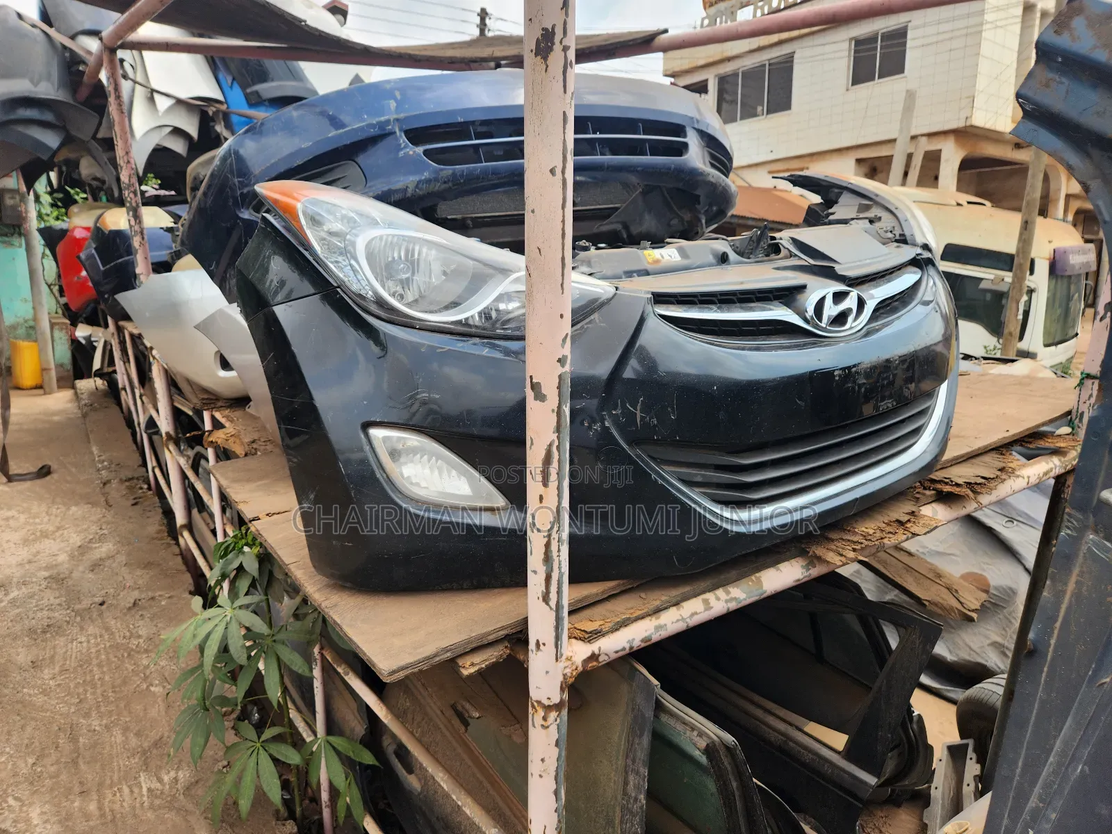 Front Cut Elantra