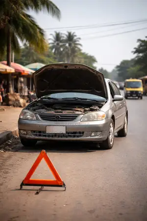 Car Not Starting? Professional Fault Diagnosis