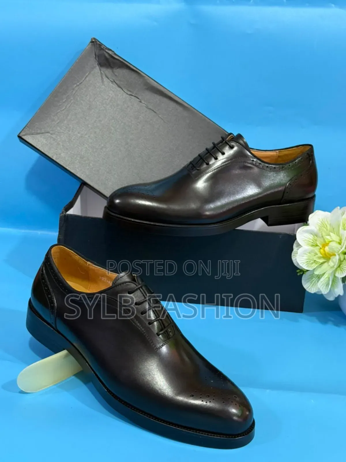 Classic Shoes