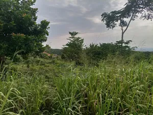 Farmland for Sale