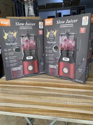 Raf 300w Whole Slow Juicer