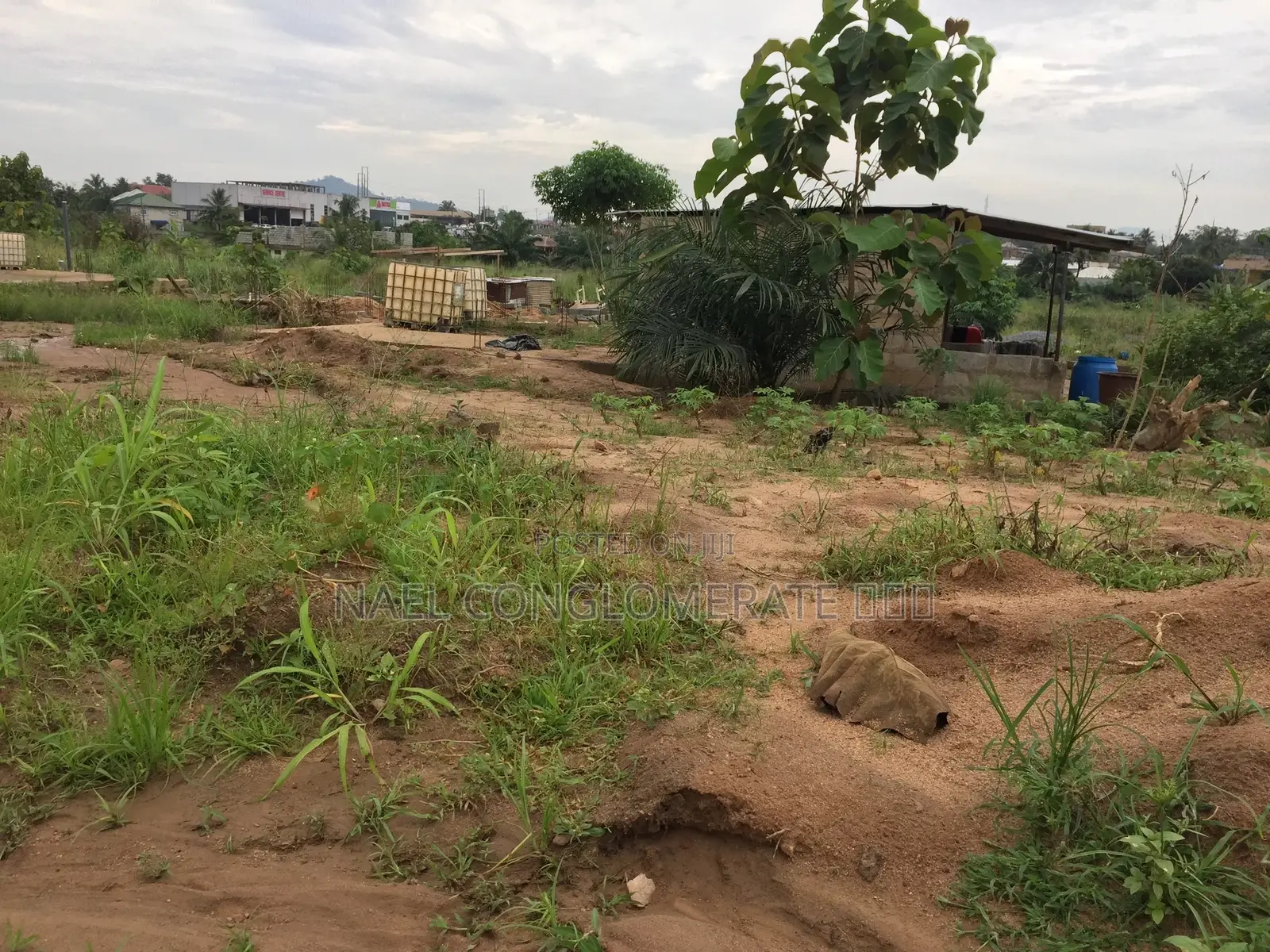Genuine Half Plot of Land at Nsawam Doboro (Curve)
