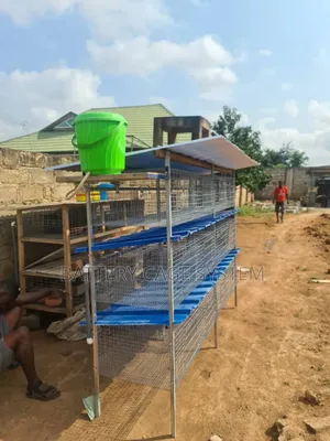 Rabbit Cage