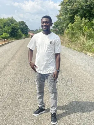 Mr Opoku Godfred Asamoah