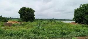 2000 Plots Of Land For Sale/Lease At V/R Dorfor Gborkpo