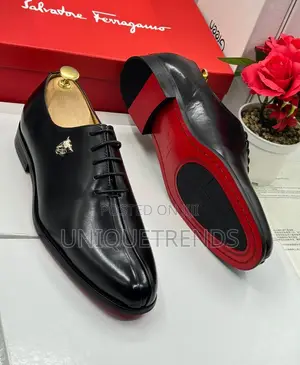 Executive Ferragamo Derby Shoes (Black Coffee)