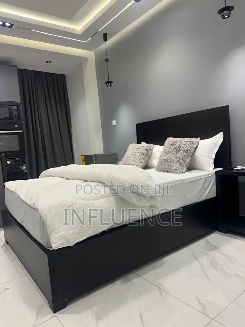 Furnished 1bdrm Apartment in Palace Mall Area, East Legon for rent