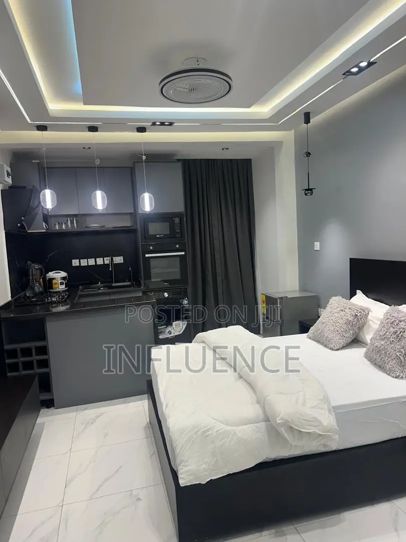 Furnished 1bdrm Apartment in Palace Mall Area, East Legon for rent