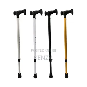Walking Stick
