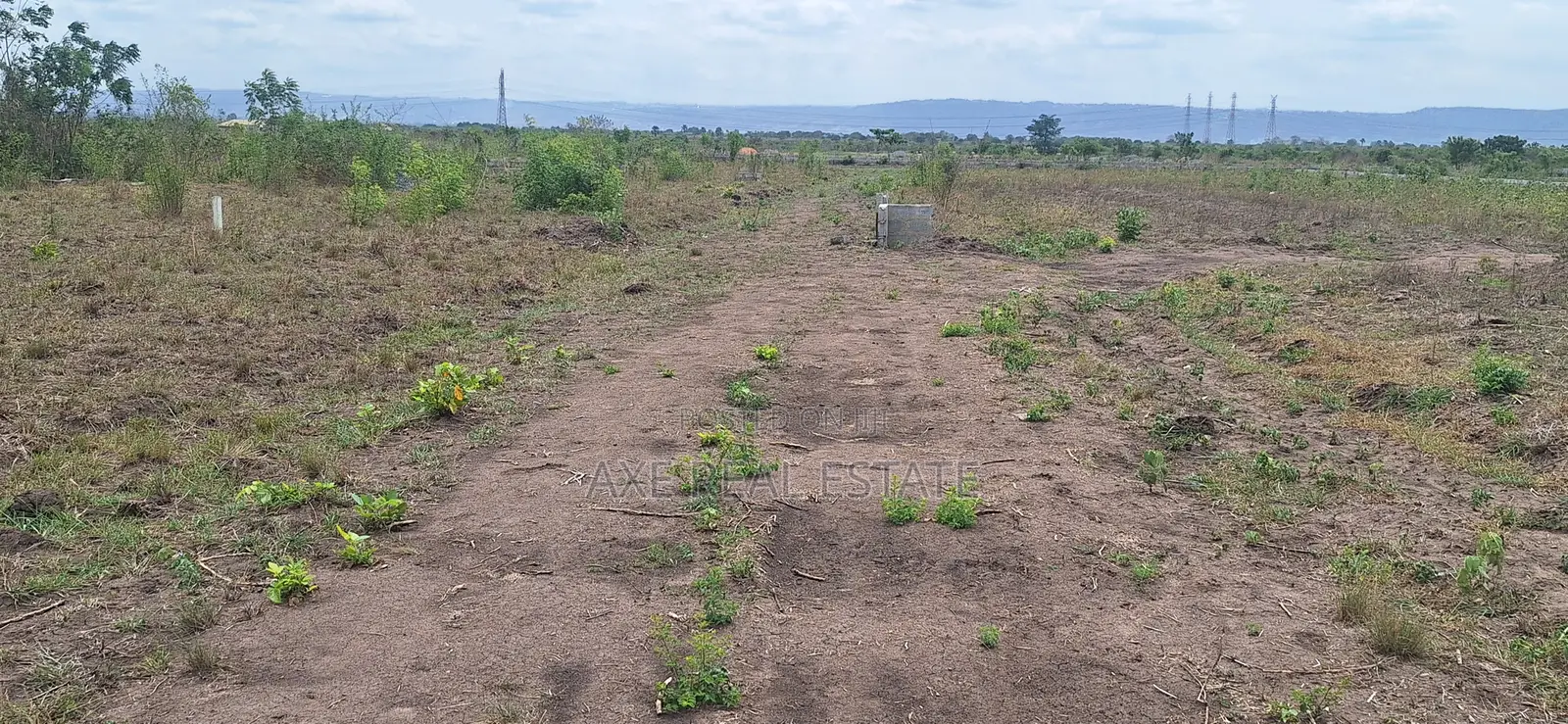 Low-Cost Land Deal at Tsopoli