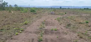 Low-Cost Land Deal at Tsopoli