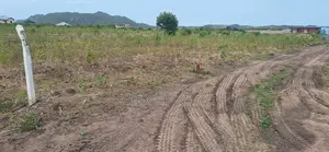 Low-Cost Land Deal at Tsopoli
