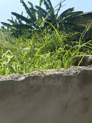 Land for Sale Around Mallam Julikart