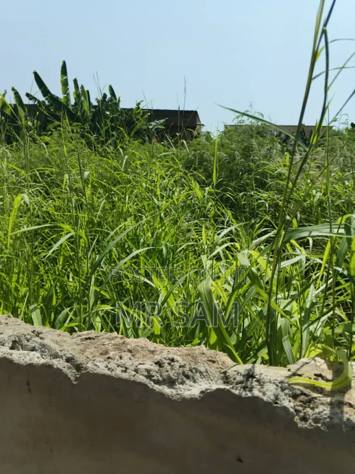 Land for Sale Around Mallam Julikart