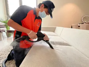 Sofa Man Cleaner