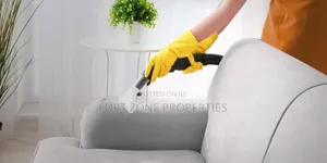 Sofa Man Cleaner
