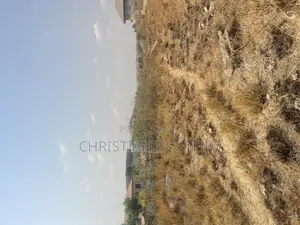 Affordable Lands for Sale