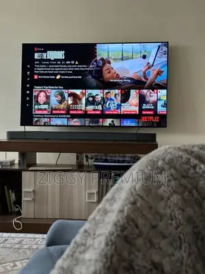 Netflix Account . Shared(2 Months)