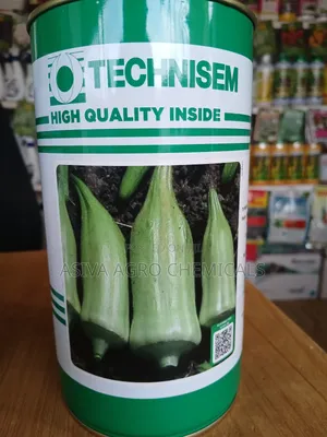 Okra/Okro Seeds 500grams