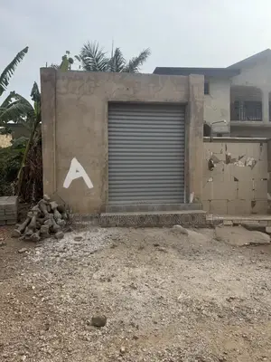 Nice Shutter Roller