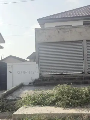 Shutter Roller for Stores , Warehouse and More Manual, Automatic