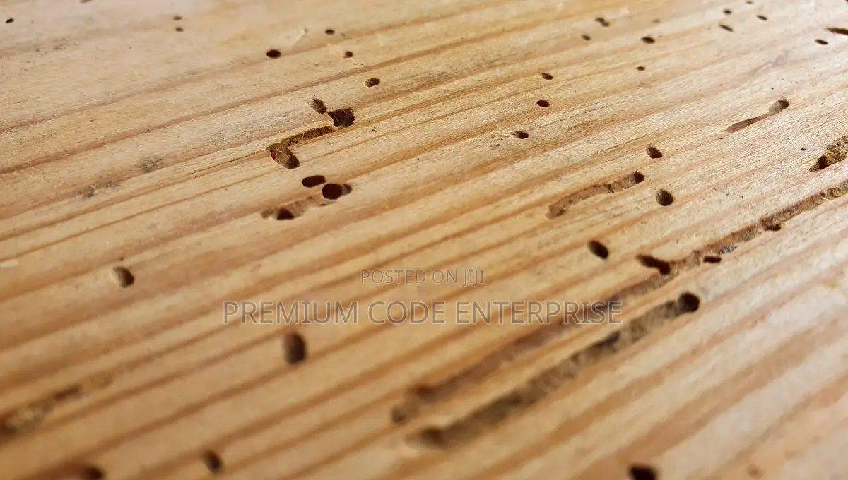Wood Preservative Termite Killer – Anti-Termite Treatment for Timber