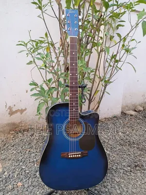 Freedom Fag640ceq/BLS Semi Acoustic Guitar With Padded Bag