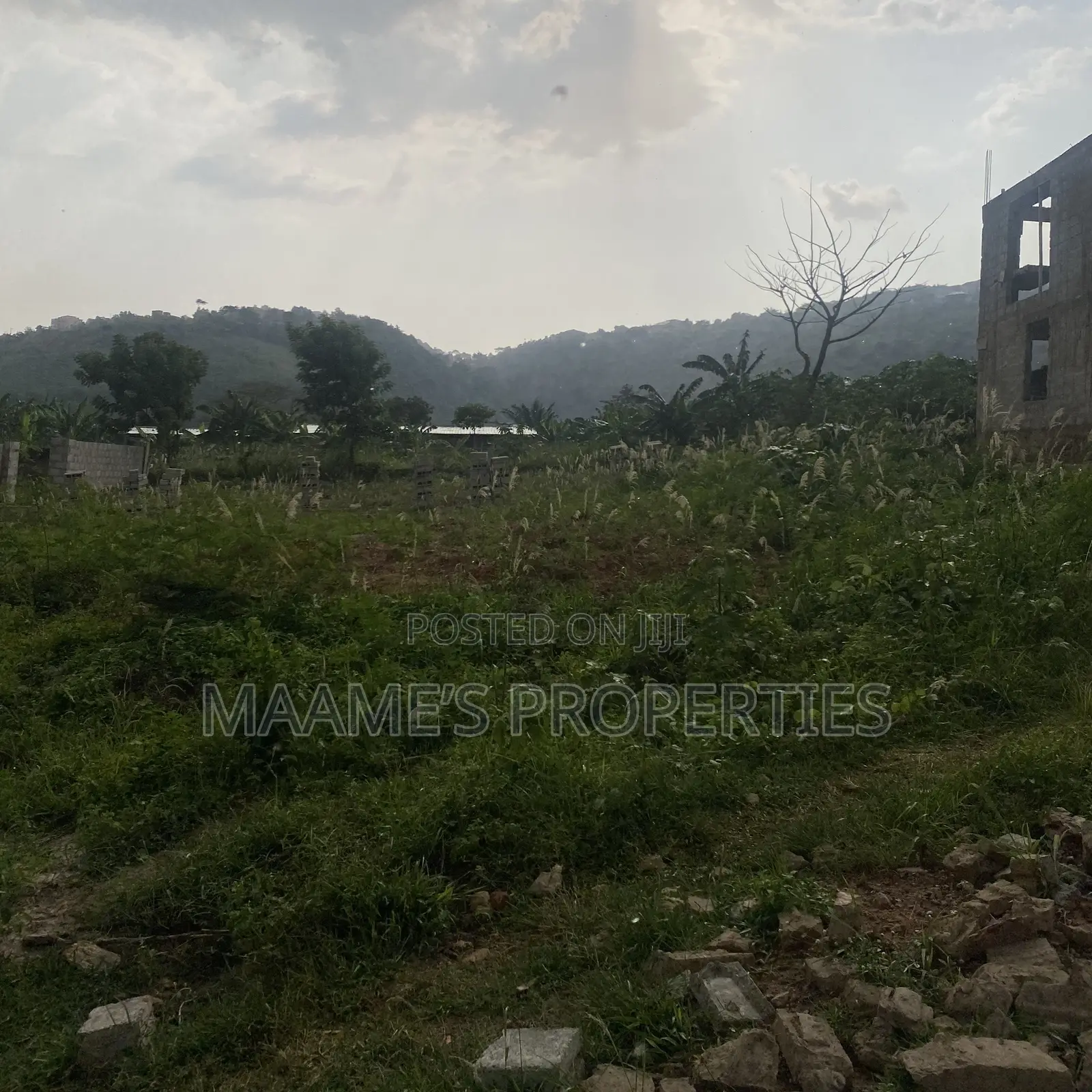 A Plot of Land at Ayi Mensah Going for Negotiable