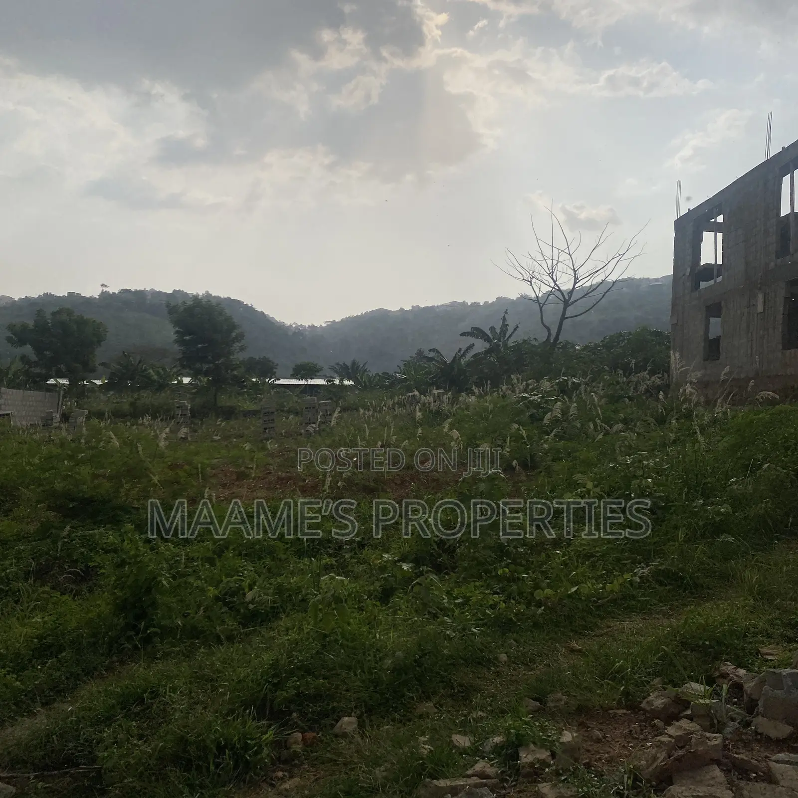 A Plot of Land at Ayi Mensah Going for Negotiable