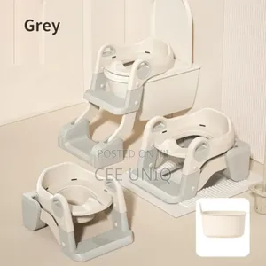 3 in 1 Toilet Seat With Potty