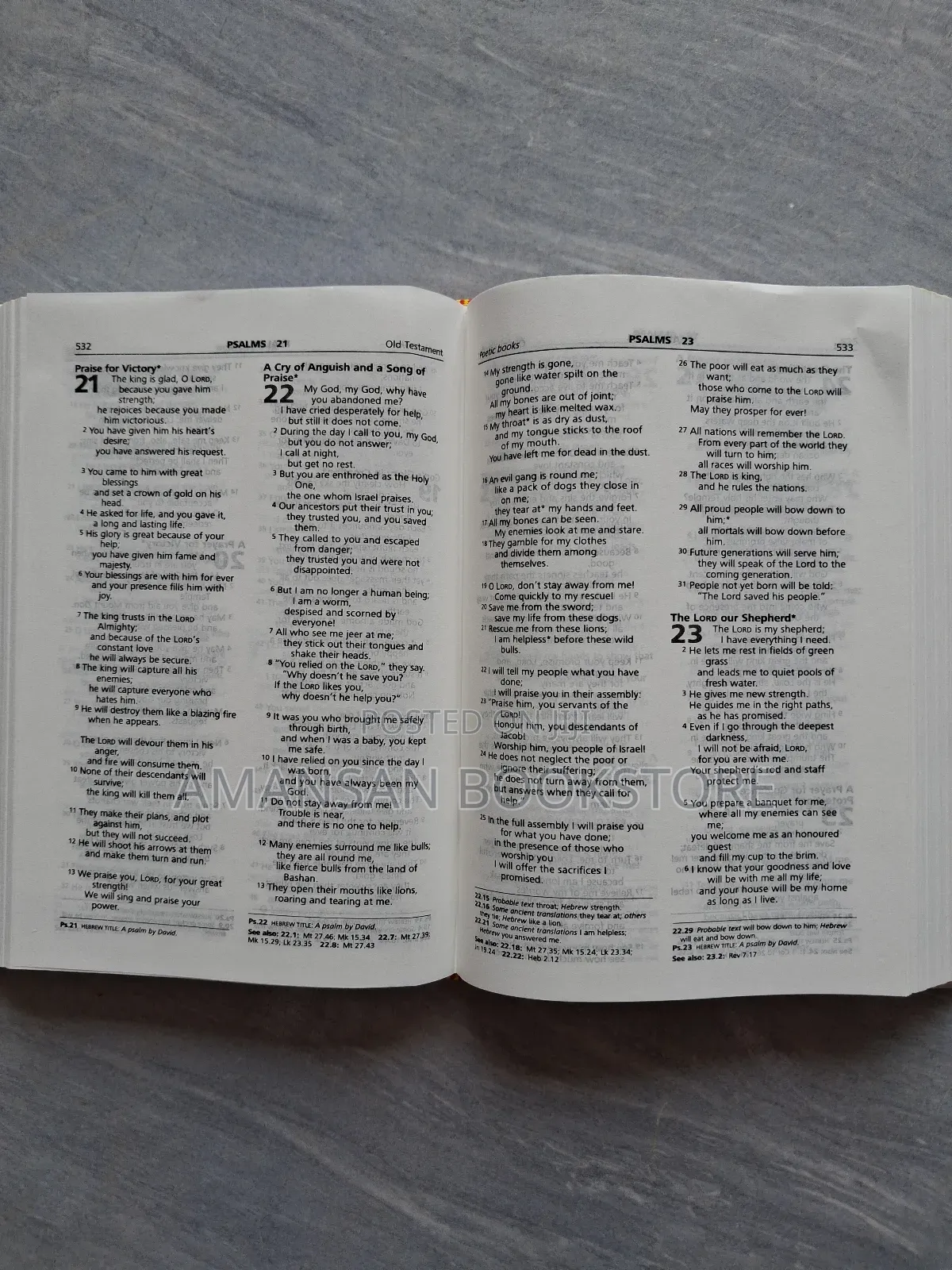Engagement and Wedding Bible (Good News)