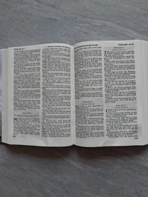 Engagement and Wedding Bible (King James Version)