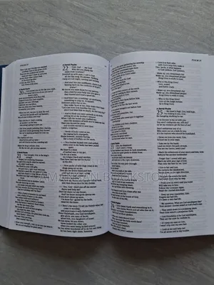 The Message Bible