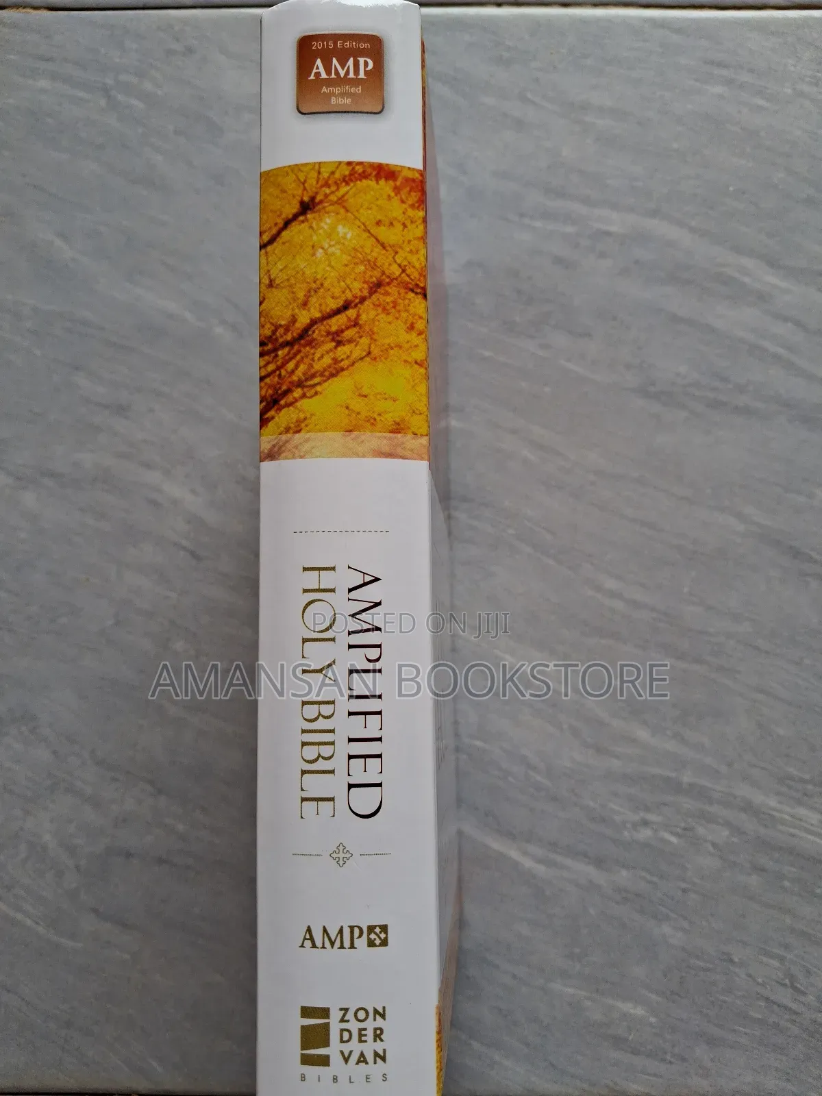 Amplified Holy Bible