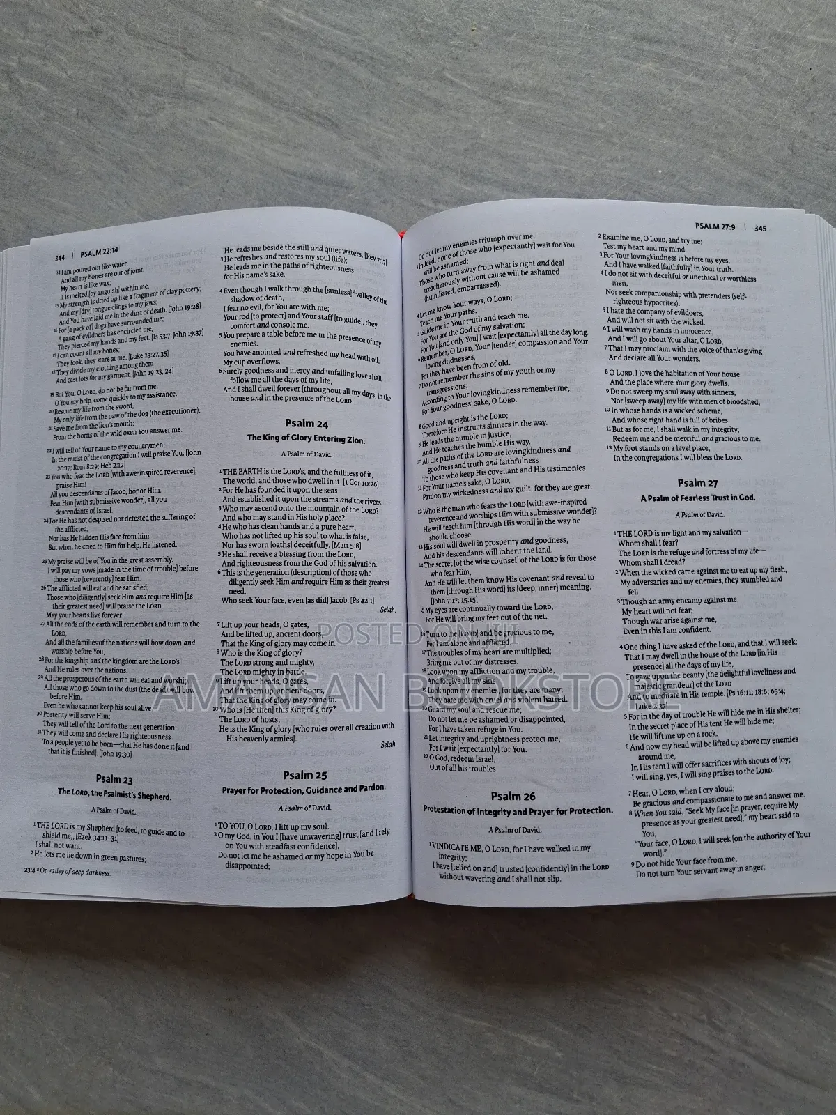Amplified Holy Bible