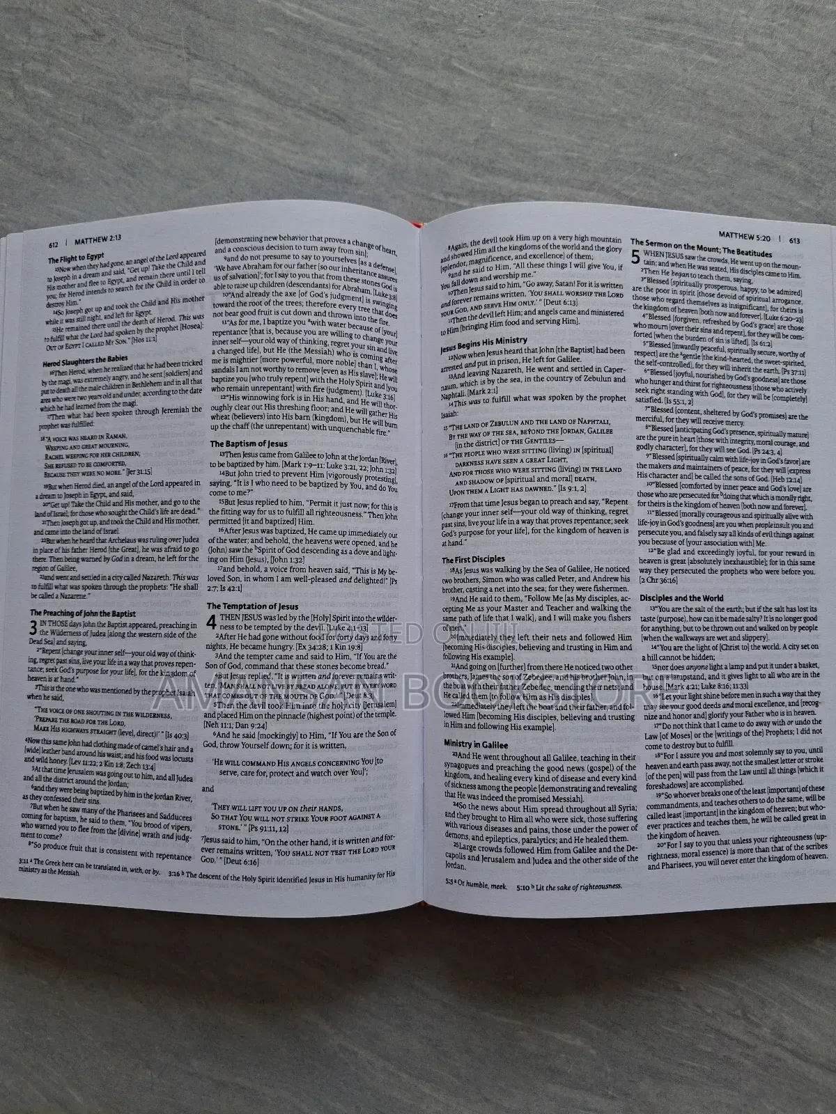 Amplified Holy Bible
