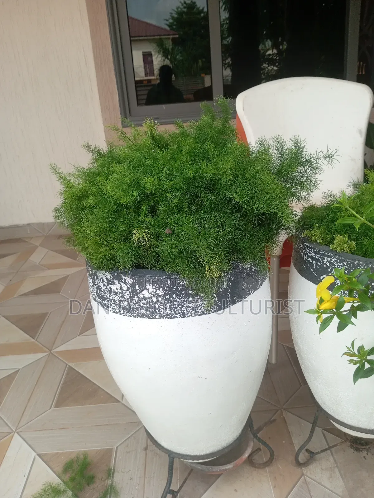 Flower and Pots