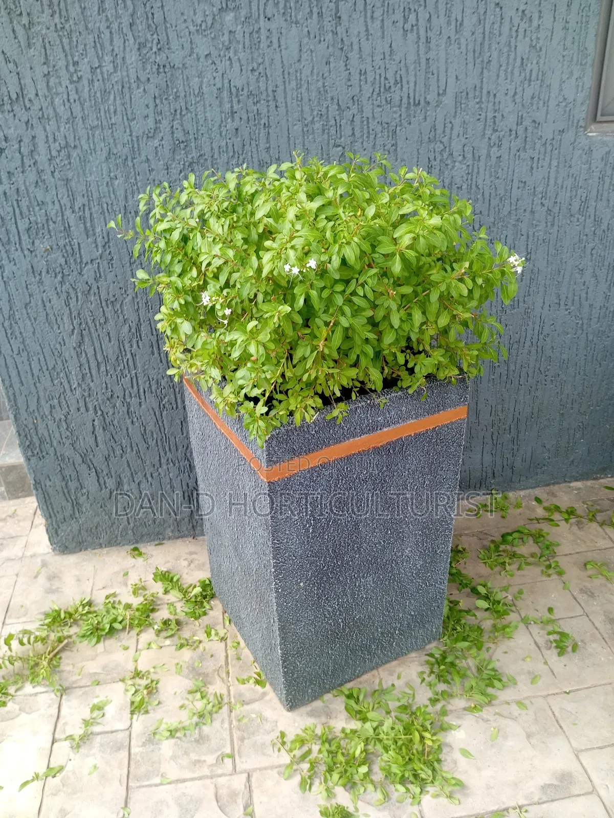 Flower and Pots