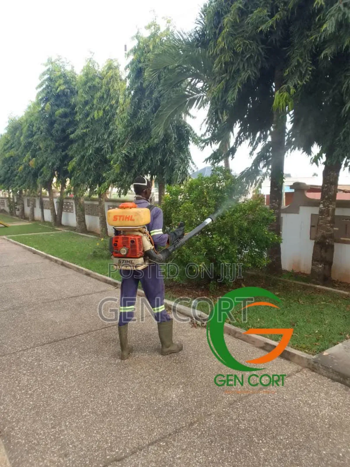 Fumigation Against Mice