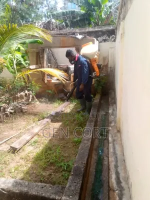 Fumigation Against Termites