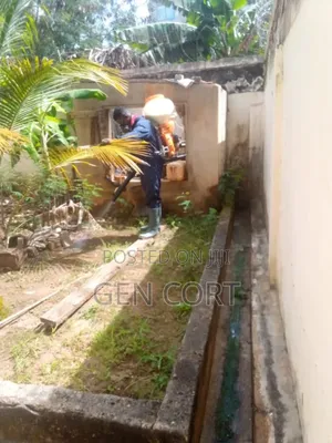 Fumigation Against Termites