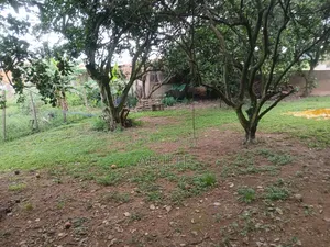Plot of Land at Ipt
