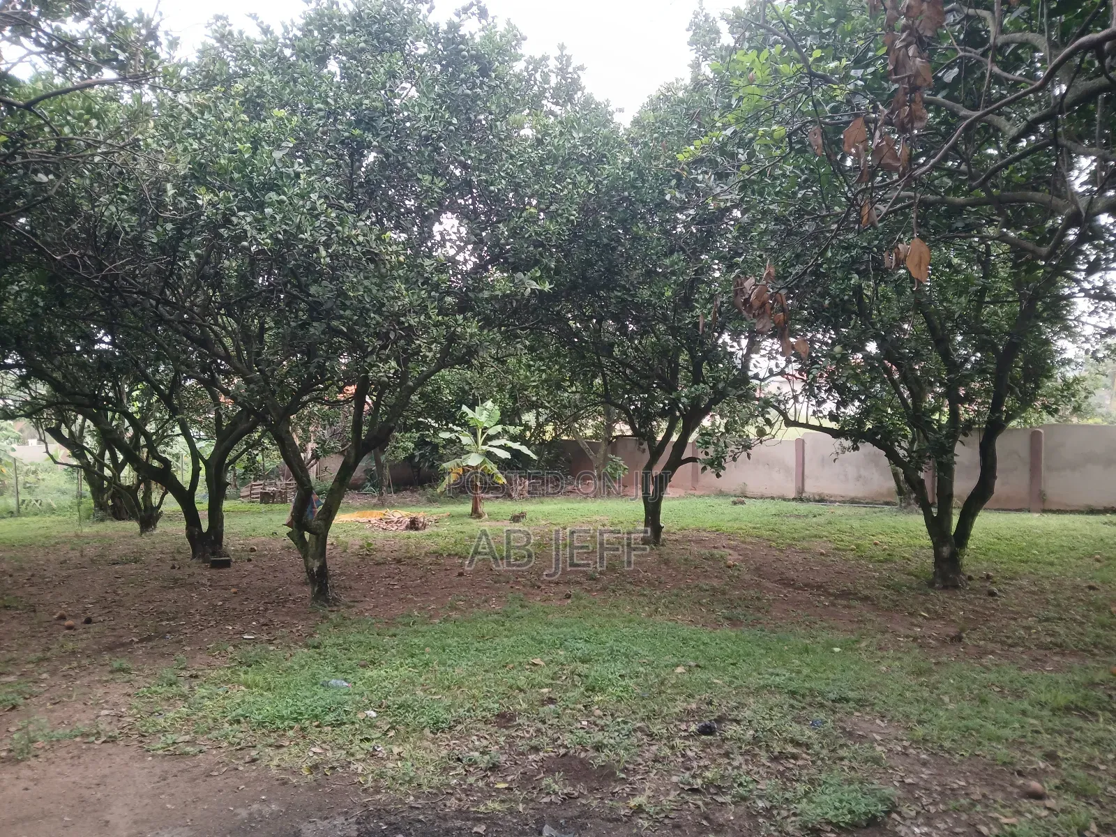 Plot of Land at Ipt