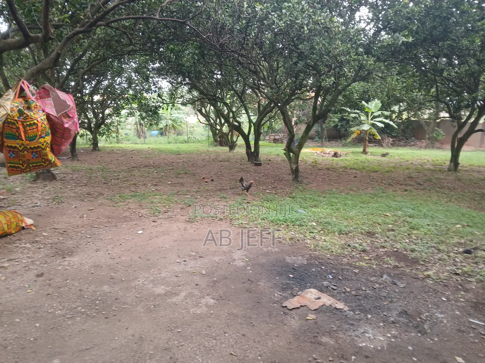 Plot of Land at Ipt