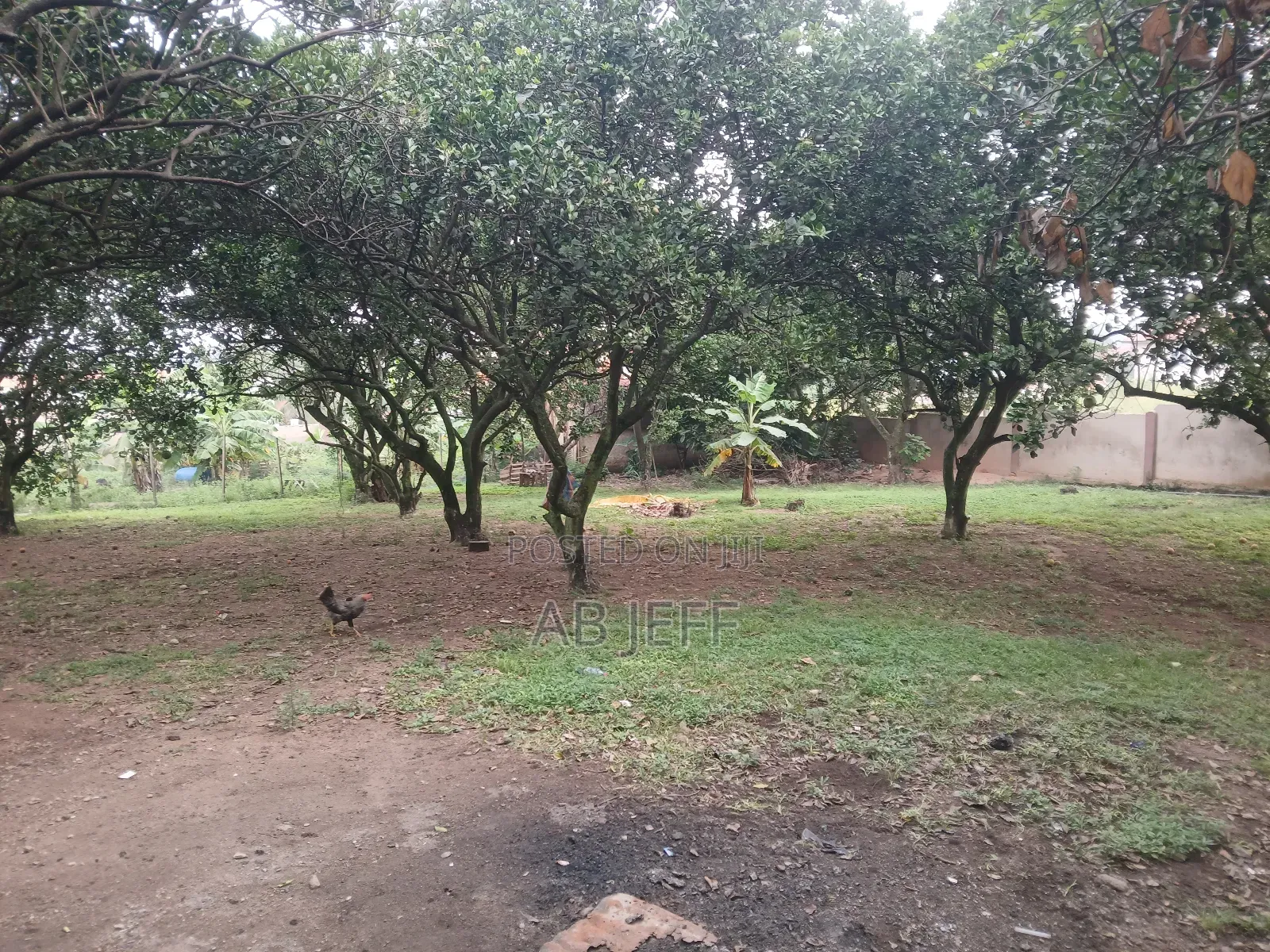 Plot of Land at Ipt