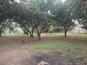 Plot of Land at Ipt