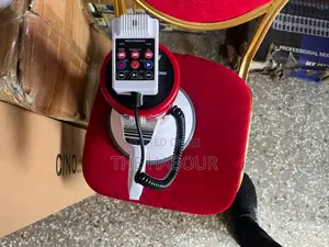 Rechargeable Megaphone With Detachable Microphone