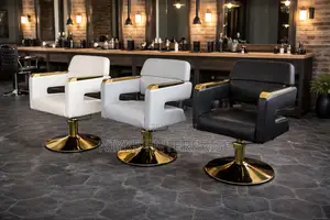 Premium Modern Barbering Chair