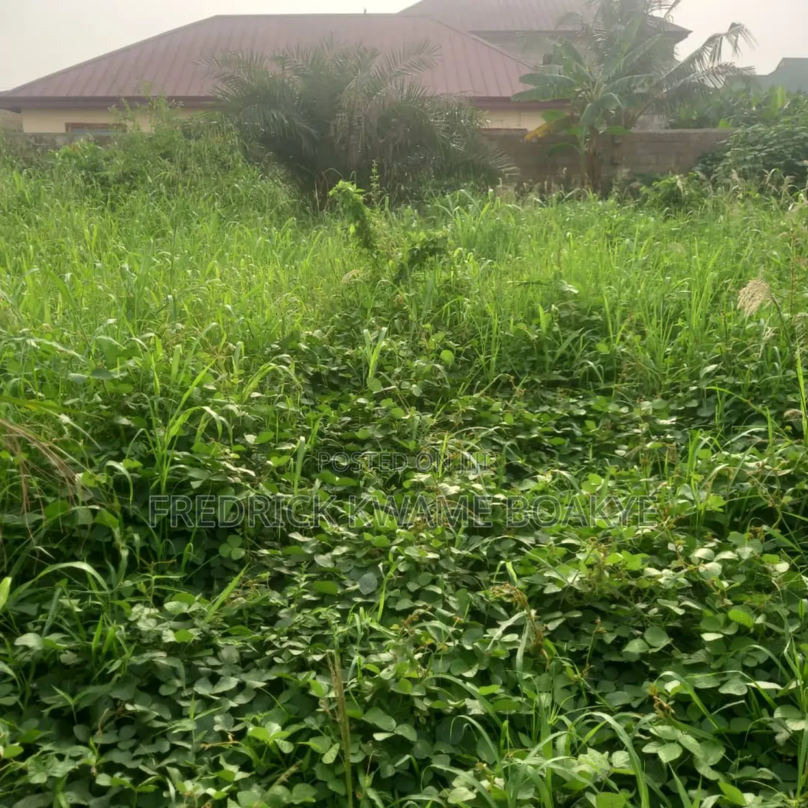 2 Plots of Land for Sale at Ipt Nyankyereniase